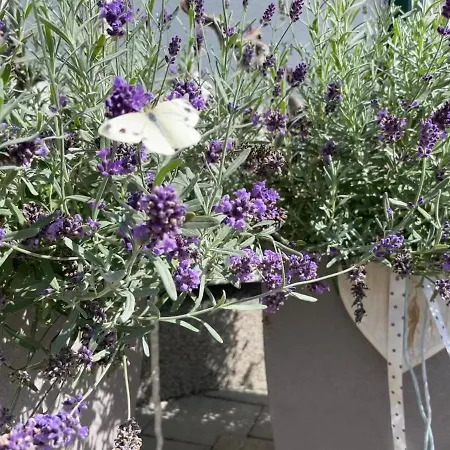 Seenliebe Prázdninový dům Senftenberg